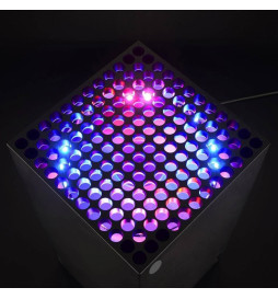 Multi Color LED Lights New Mod Light Up RGB Fan Kit For Xbox Series X S Console